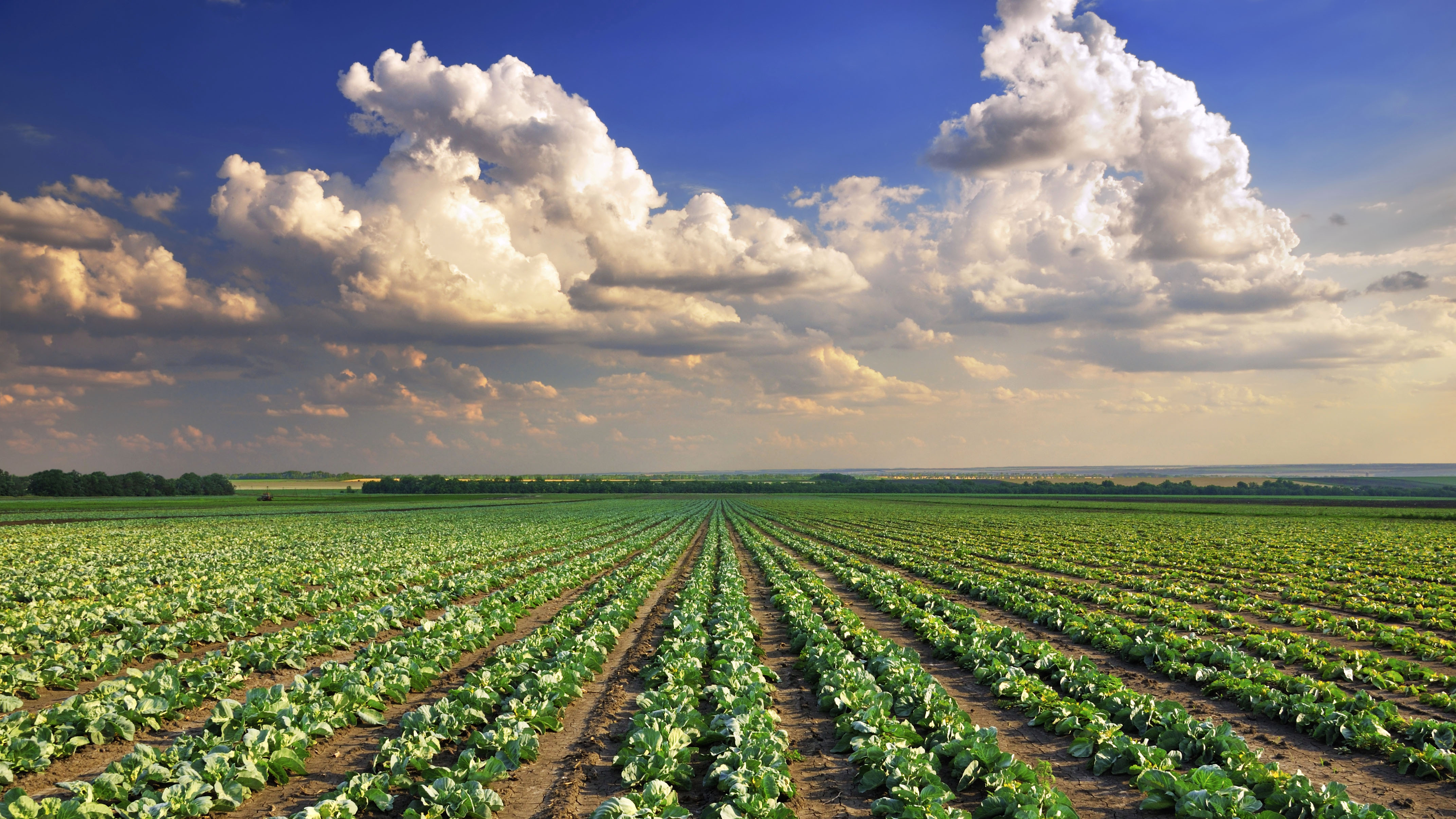 Logistic Regression for Predicting Agriculture